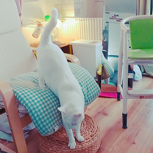keikomokonさんの実例写真
