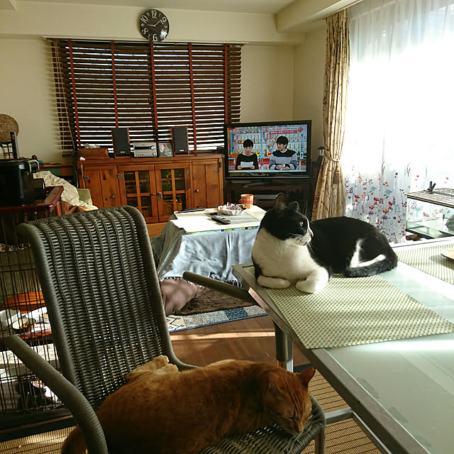 okyosan101さんの実例写真