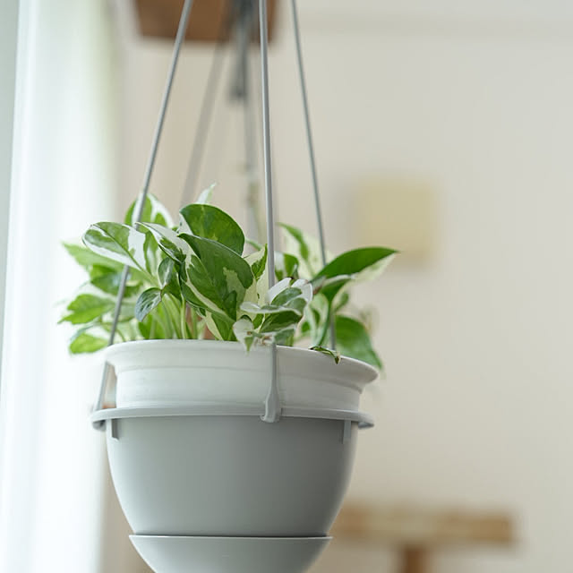 jijicoさんの部屋