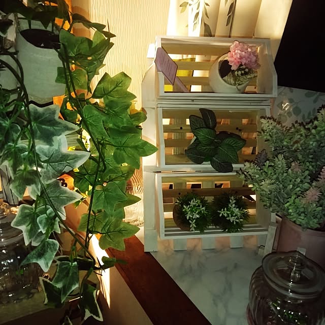 dreamerさんの実例写真