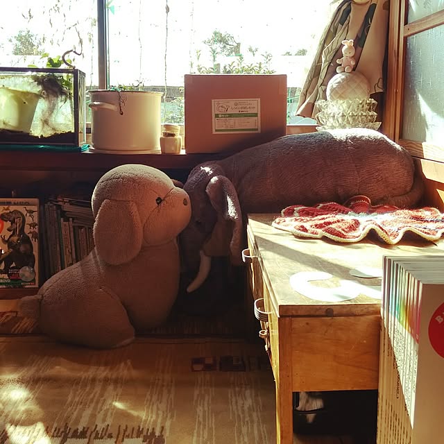 kikuさんの実例写真
