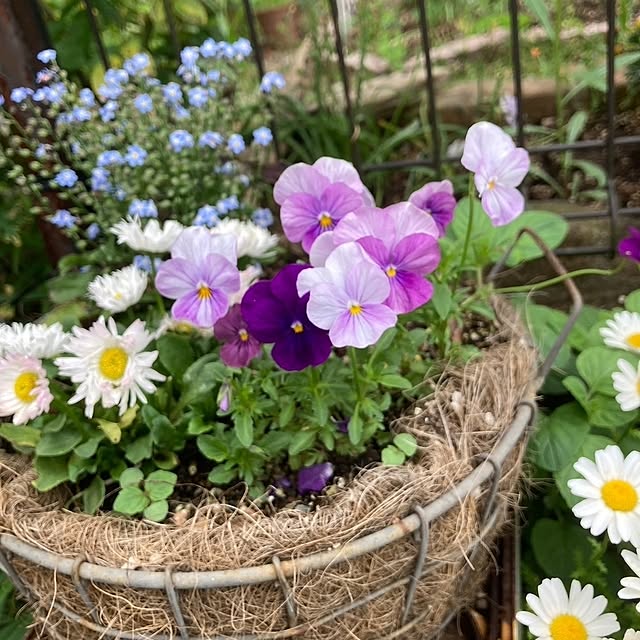 min_nimさんの実例写真