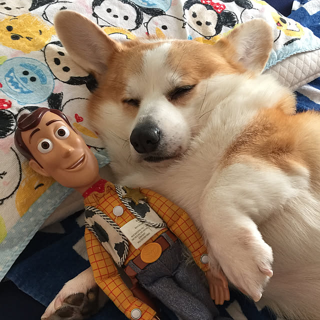 mihoさんの実例写真