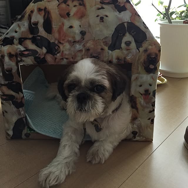 emiさんの実例写真