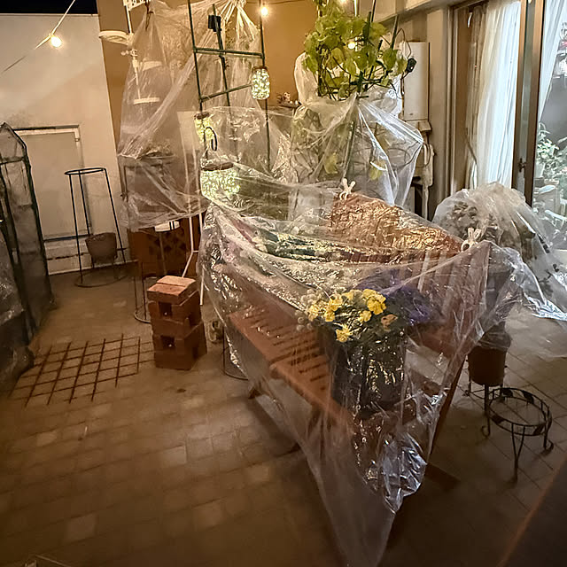 Aqettyさんの部屋