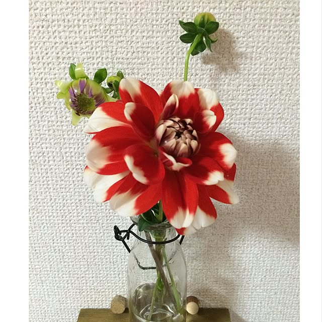 machanさんの実例写真