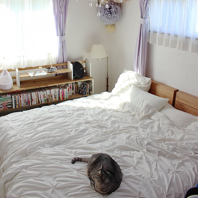 wisteriaさんの実例写真