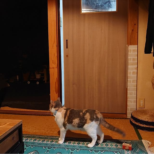 fukuさんの実例写真
