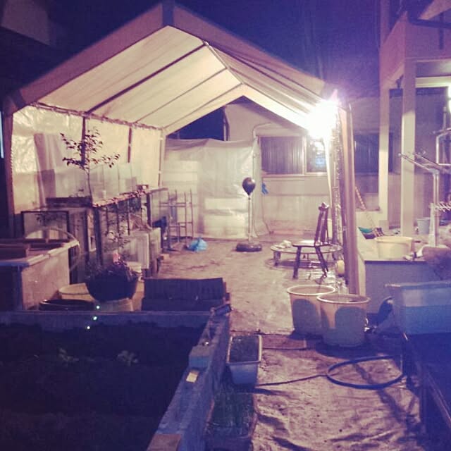 shs1019shsさんの実例写真