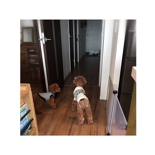 chihooo.sさんの実例写真