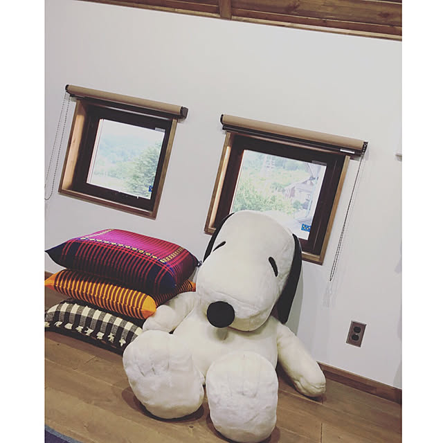 snoopyさんの実例写真