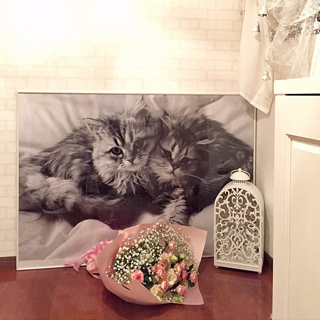 butachanさんの実例写真