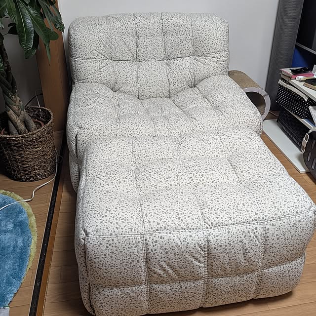 diopucciさんの実例写真