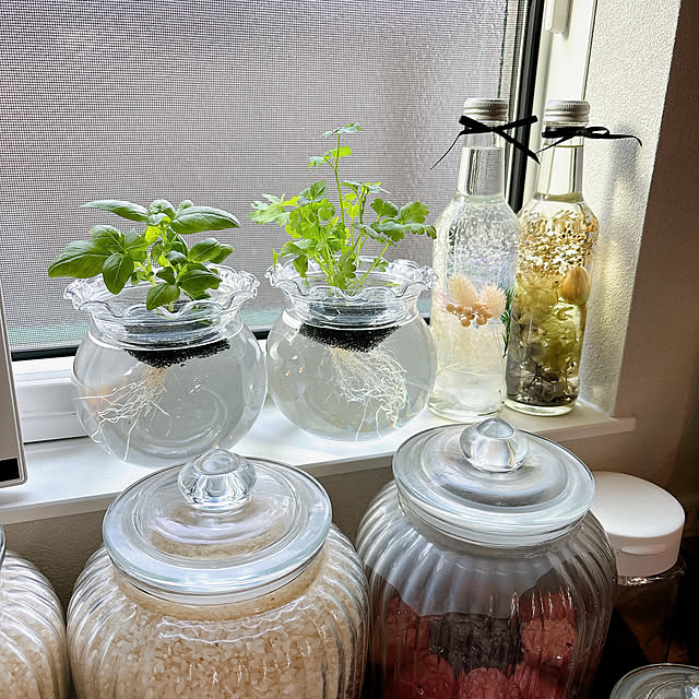tomatoさんの部屋