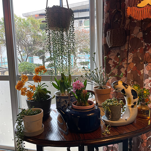 shin0719さんの実例写真