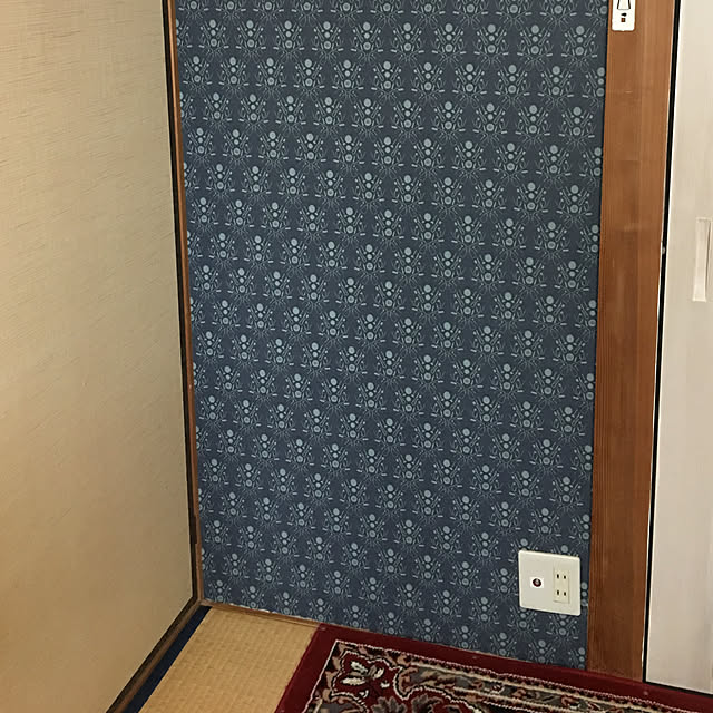 ray55さんの実例写真