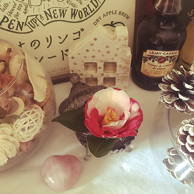 tender-girl.s2s2さんの実例写真