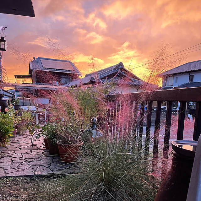 shin0719さんの実例写真