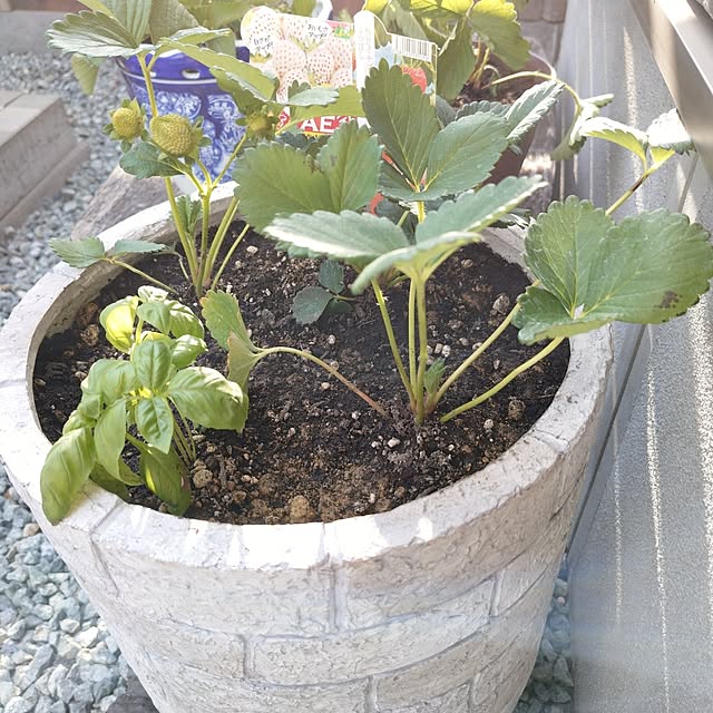 mokukoさんの部屋