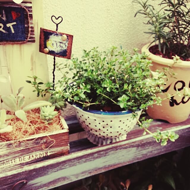 andante365さんの実例写真