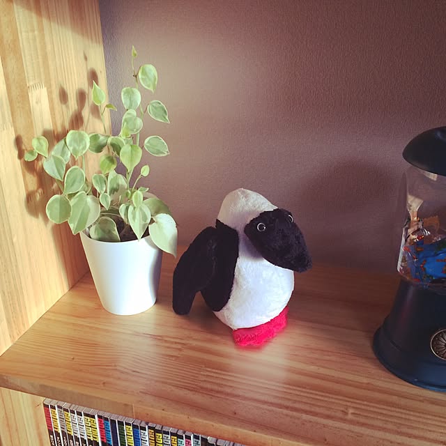 punpunさんの実例写真
