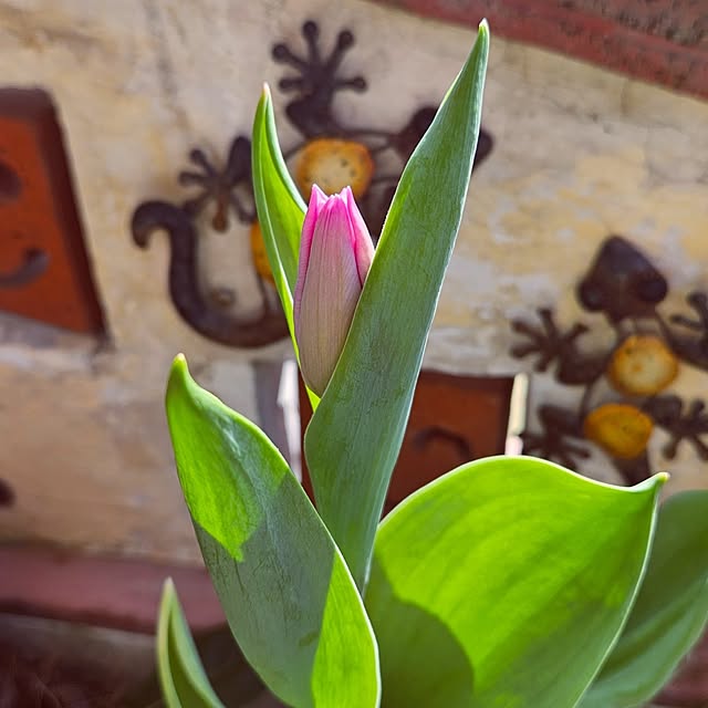 mocomocoさんの部屋