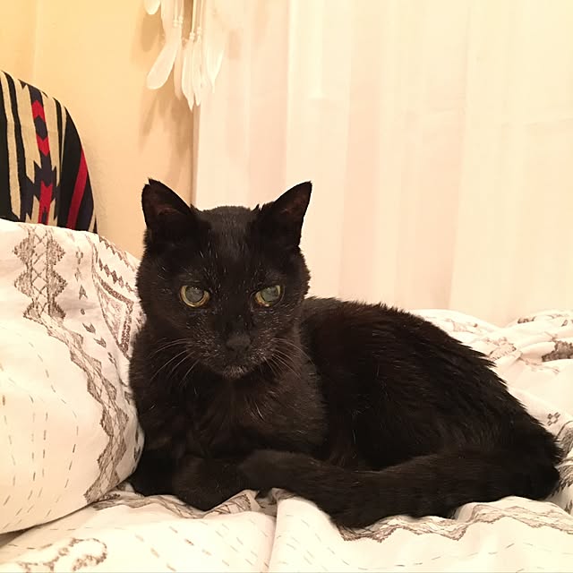 TiffanyTさんの実例写真