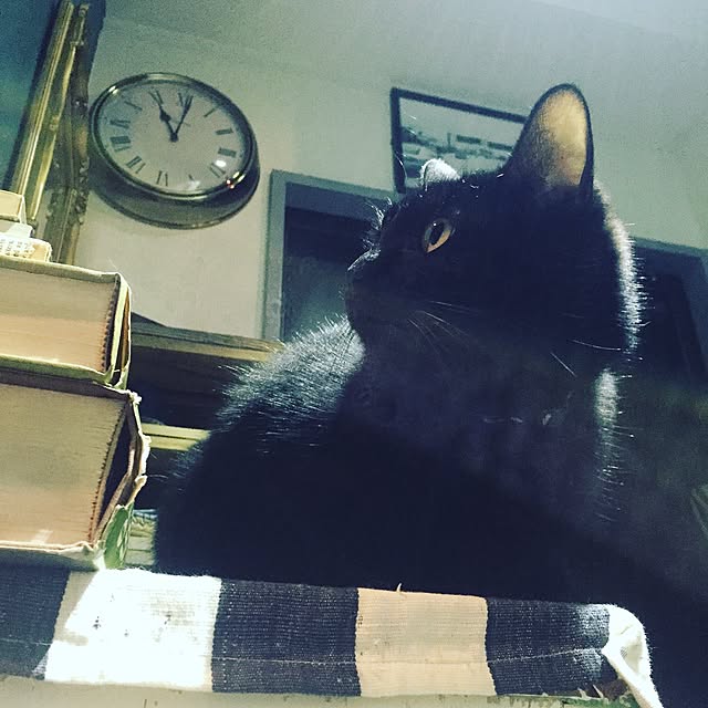 Naoki.さんの実例写真