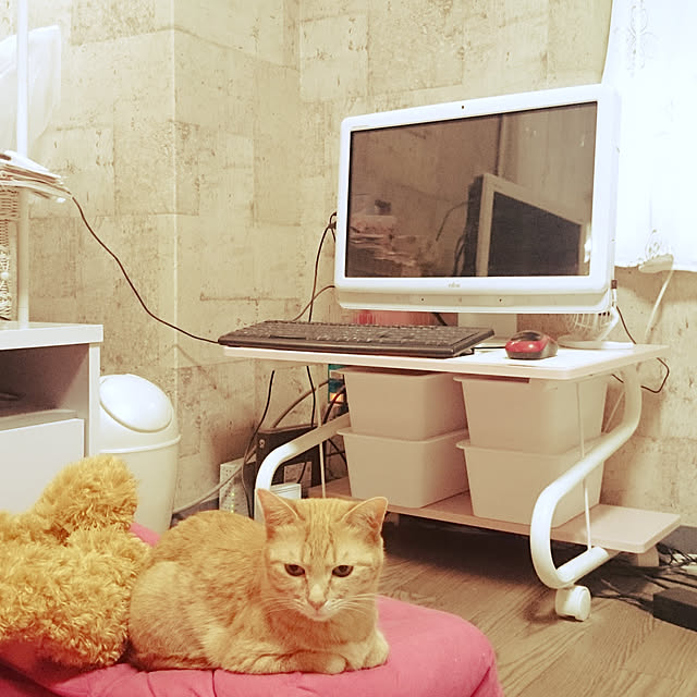 asuminさんの実例写真