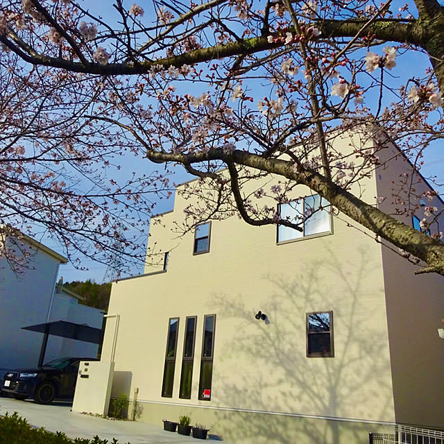 maison.blancheさんの実例写真
