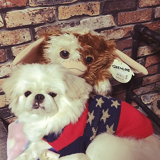 poohchanさんの実例写真