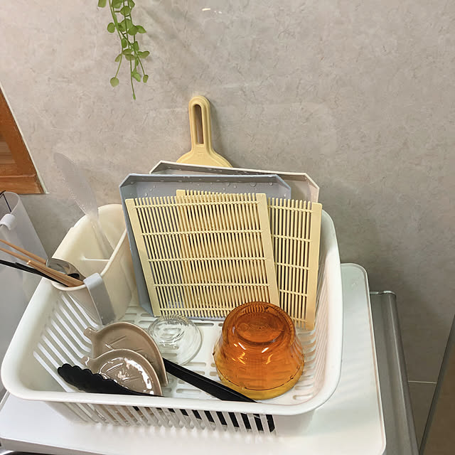katoponさんの部屋