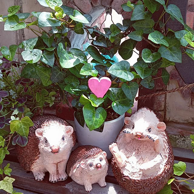 mocomocoさんの部屋