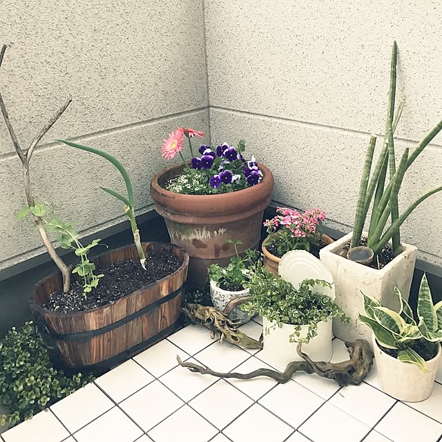mayuさんの実例写真