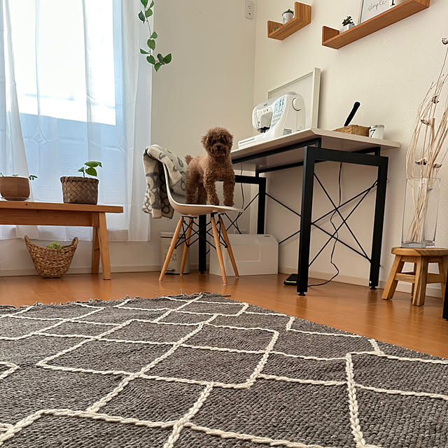 Tarutoさんの部屋