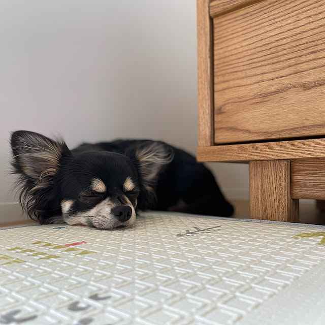 norimarukoさんの実例写真