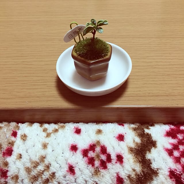 nekoさんの実例写真