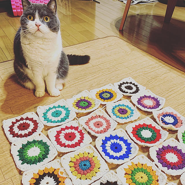 vamovamo.394さんの実例写真
