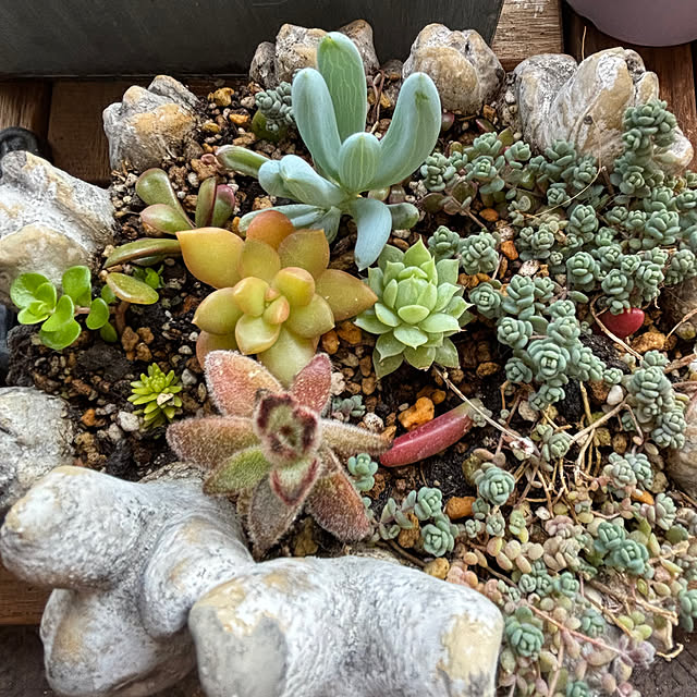 naokoさんの実例写真