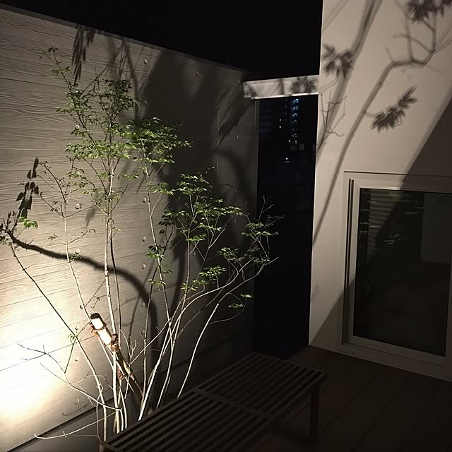 qu_miiiiiiiさんの実例写真