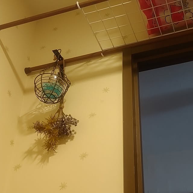petichoさんの部屋