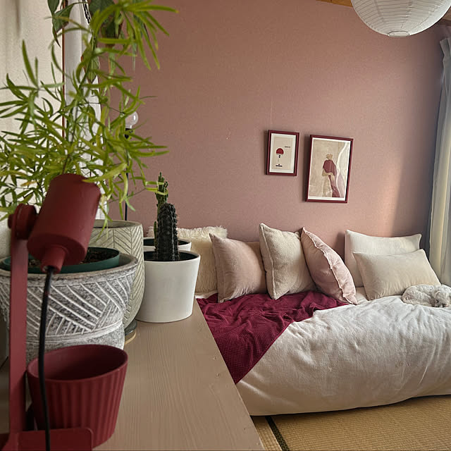 kinokoさんの実例写真