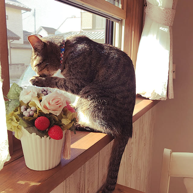 MILKさんの実例写真