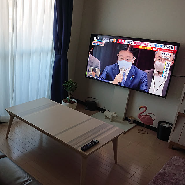 実例写真