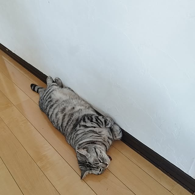 hiro3さんの部屋