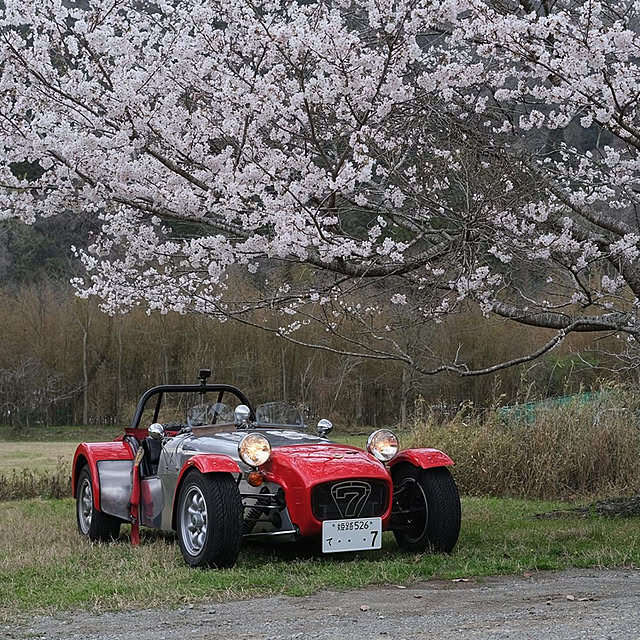 実例写真