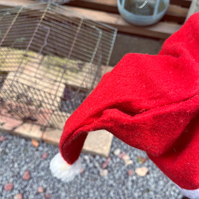 mayumiさんの部屋