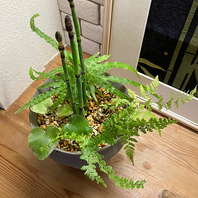 ikubooさんの部屋