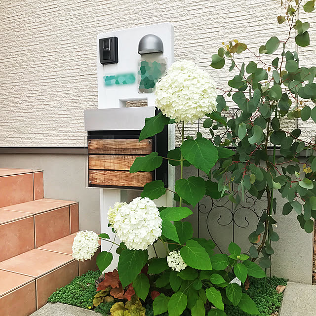 peさんの実例写真