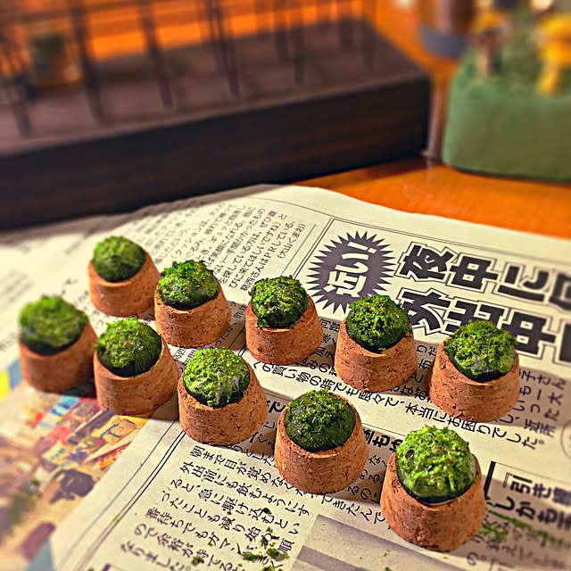 ramuchop3000さんの実例写真
